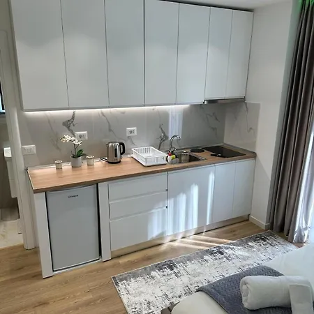 Luxury Apartment